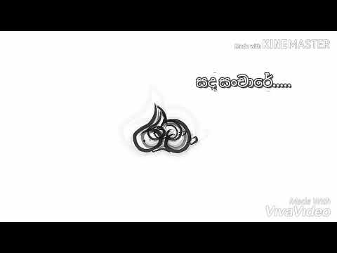 රට හාවා.