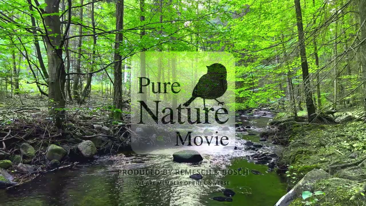 Relaxing Meditation Pure Nature Sounds: Waterfall, River, Forest, Birds and romantic piano