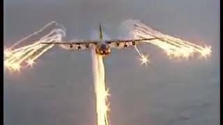 Runnin wild bloody red rose