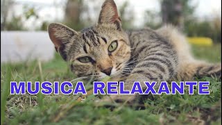 Musica Relaxante sleep Music
