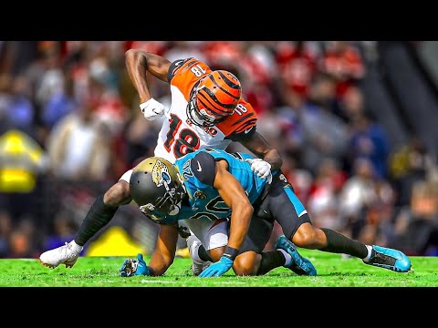 Craziest NFL Fights