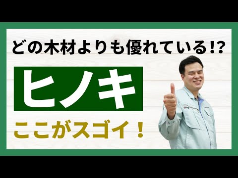 ヒノキ科について詳しく解説
