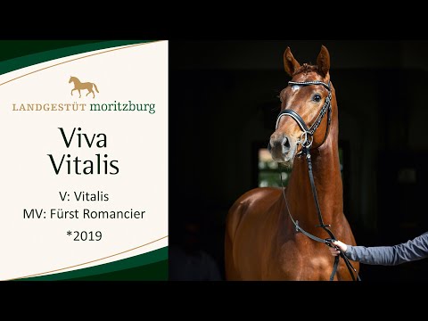 VIVA VITALIS OLD v. Vitalis - Fürst Romancier