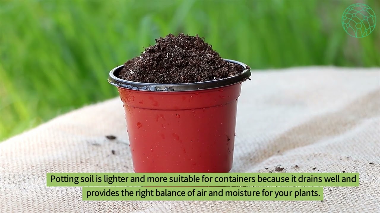 Setting up containers and preparing the soil The foundation of a healthy garden