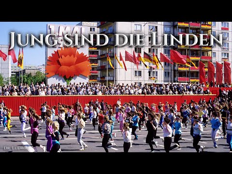 Jung sind die Linden [GDR song][+English translation]