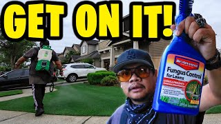 Orange Lawn? Fungicide Time!