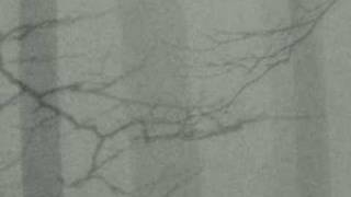 Trentemøller: Evil Dub