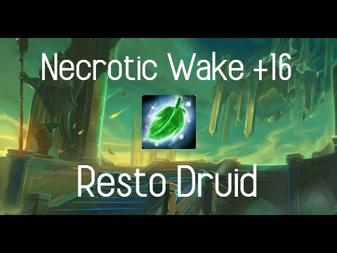 Necrotic Wake +16 | Resto Druid