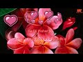 Sun Le Zara Instrumental Music