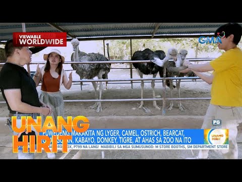 Animal encounter sa Rizal! Unang Hirit