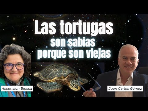 La Sabiduría de la Tortuga: Resiliencia con Ascensión Biosca