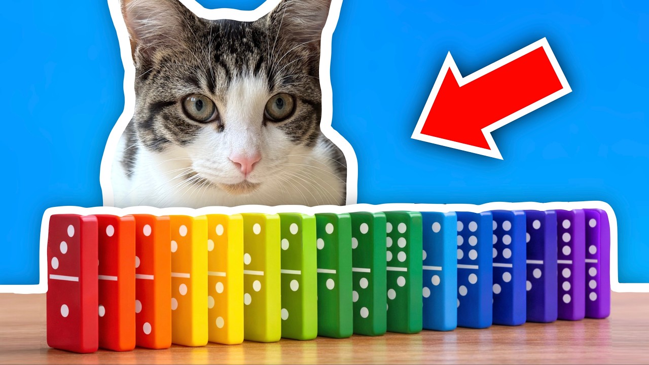 Cats vs Dominoes