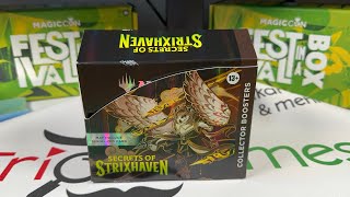 Lohnt sich das für 300€? Secrets of Strixhaven Collector Booster Display