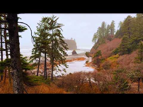 Steelhead Fishing on the Olympic Peninsula Success Boils Down to This