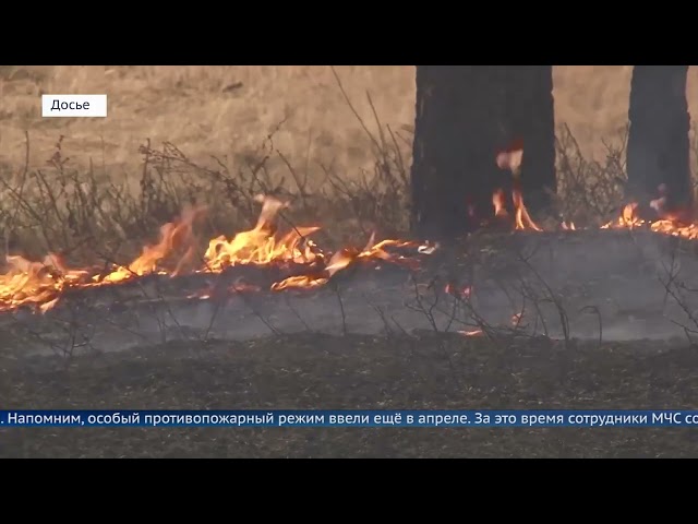 Особый противопожарный режим в северных районах Иркутской области сняли лишь под конец лета