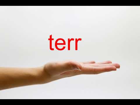 How to Pronounce terr - American English
