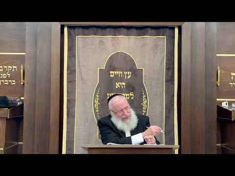 Exploring Nightfall: Rav Asher Weiss Shlit'a on Shkia & Tzais