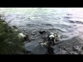 IMG 4084