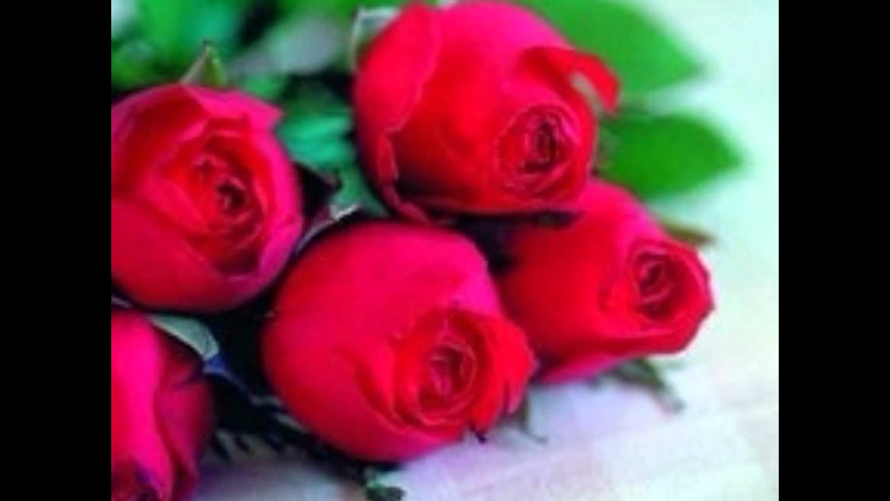 Hum Aur Tum (Male) Lyrics | Aakheer | Kumar Sanu | Aabir Mukherjee