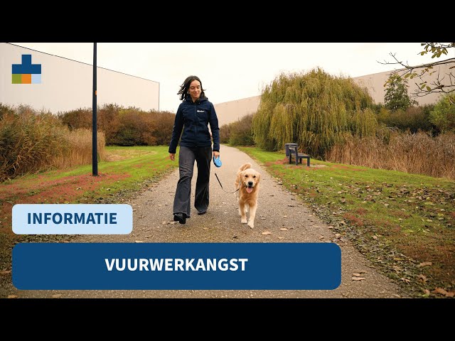 Vuurwerkangst bij huisdieren - Medpets geeft tips!
