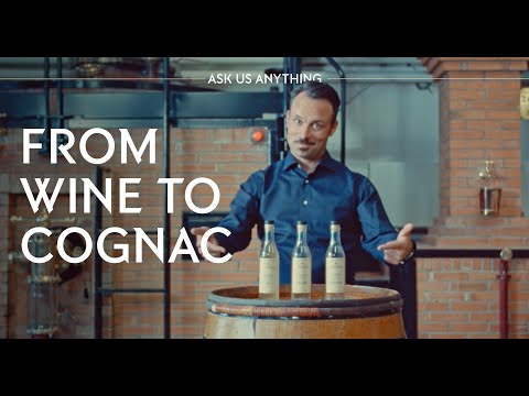 Ask Us Anything With Jordan Bushell: How Cognac is Made