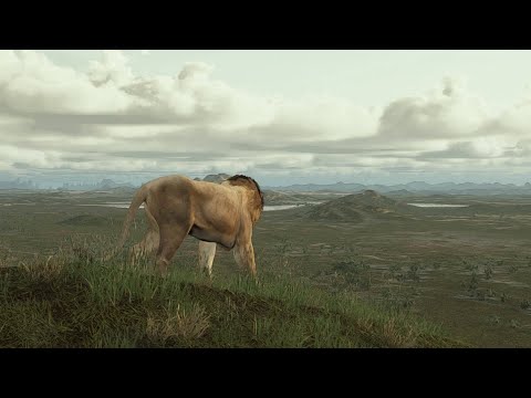 Lion Hunting In The African Plains