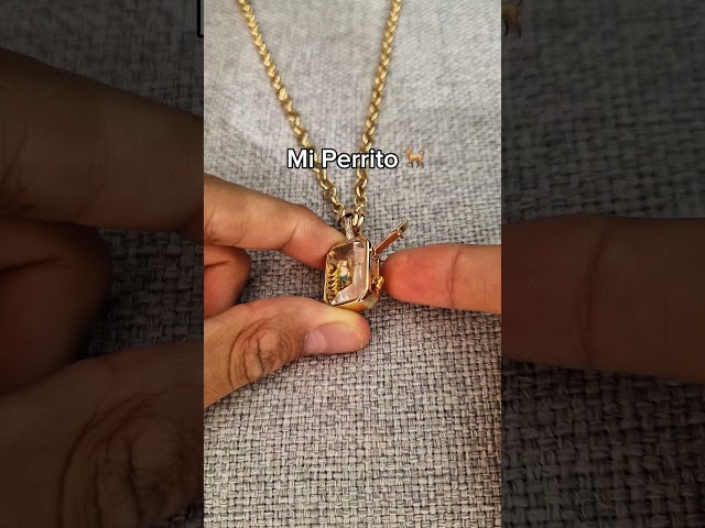 Vídeo relacionado con MICMIF Collar Plata Perro Colgante Perrito para Mujer Niña, Collares de Animales Plata de Ley 925 de Joyas Regalos Originales para Esposa, Mamá, Hija, Novia