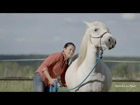 You should avoid these 3 mistakes when lunging your horse.