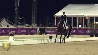 Video af Sandro Boy 9