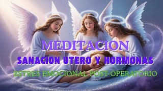 Recuperación del Útero y Hormonas