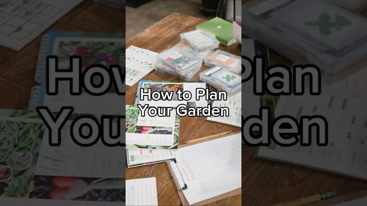 How to Plan Your Garden