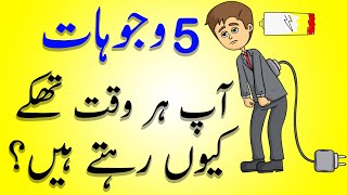 5 Reasons youre always Tired in Urdu Hindi - وج�