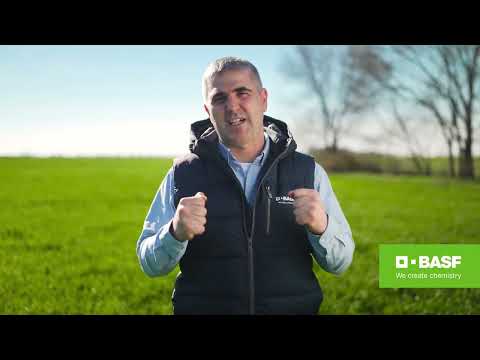 BASF Agro Patrola 2023| Kada je pravo vreme za prvi tretman pšenice? DUETT® TURBO