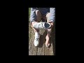 Miss Feety Outdoor Shoe Review