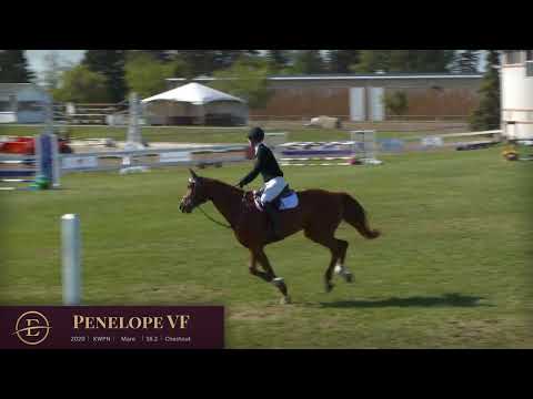 Penelope VF Jumping