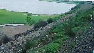 preview picture of video 'VIEW FROM 22nd COACH VIEW 11302 - UDYAN EXPRESS BEAUTIFUL C CURVE CURVING AT THE NIRA RIVER'