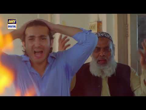 #DileVeeran Last Episode #arydigital