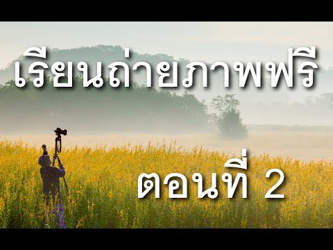 สาโทเซนต์จอห์นกับ neurodermatitis การรักษา neurodermatitis หลังคลอด