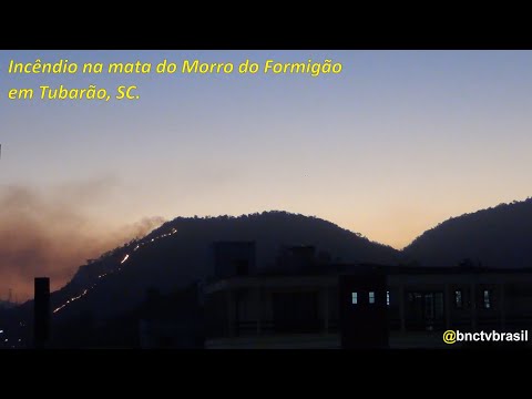 Morro do Formigão: incêndio na mata