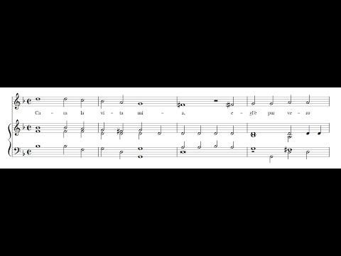 GIACHES DE WERT: Cara la vita mia PDF SCORE