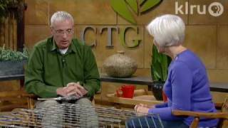 Central Texas Gardener: 1/23/10