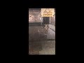 Přehrát video