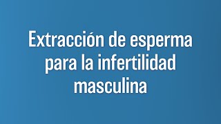 Técnicas de Extracción de Espermatozoides para la Infertilidad Masculina | Dr Juan José Andino |