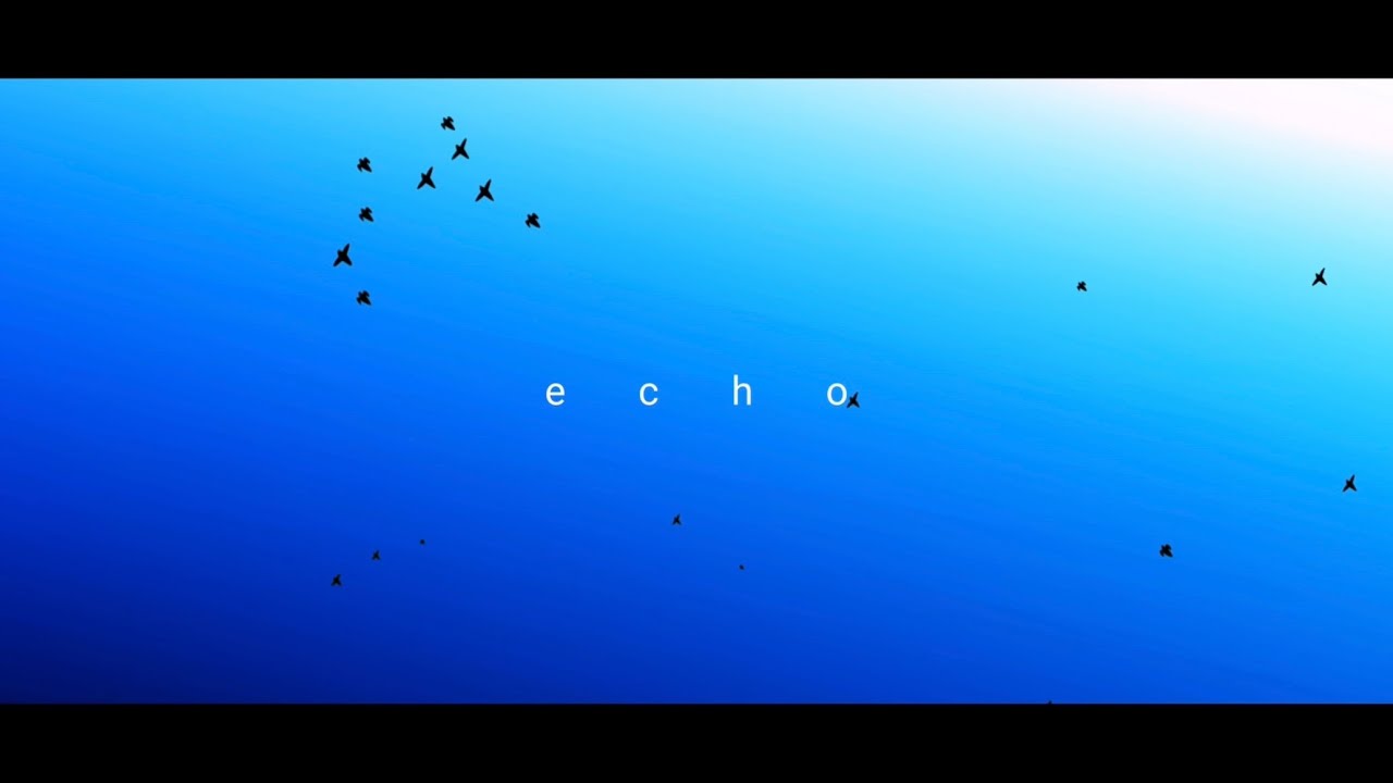【二次創作】echo feat.初音ミク/higma【文字PV合作】