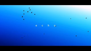 【二次創作】echo feat.初音ミク/higma【文字PV合作】