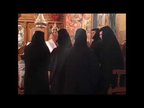 20191130 NICOLAE BALASOIU – SFANTUL APOSTOL ANDREI – OCROTITORUL ROMANIEI