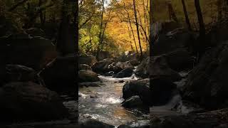 Download lagu Mentahan Video Aesthetic Alam 30 Detik | Story Wa Aesthetic 30 Detik | Nature Video Shorts mp3