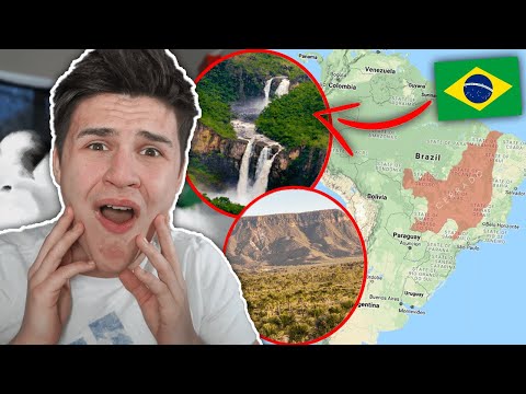 A Parte Esquecida do BRASIL - VOCÊ NÃO VAI ACREDITAR NISSO ! (Cerrado) | REACT BRITÂNICO