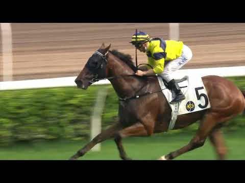 11/9/2022 (7) Oriental Smoke - Z Purton