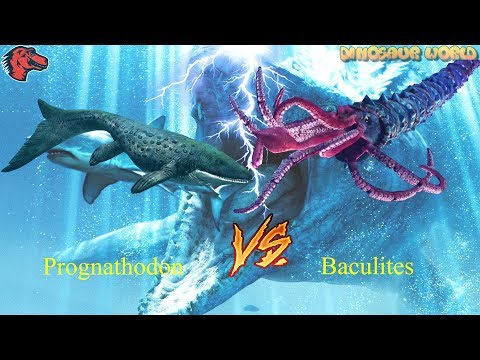 Prognathodon VS Baculites - 3 VS 1  | Jurassic World The Game [1080P]